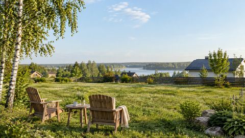 Спокойная панорама участка для будущего дома с местом отдыха под берёзой